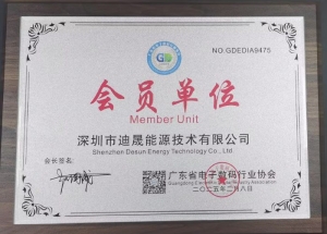 广东电子数码行业协会到访深圳迪晟能源工厂—协会授予迪晟能源“会员单位”牌匾，深化技术协同与市场合作