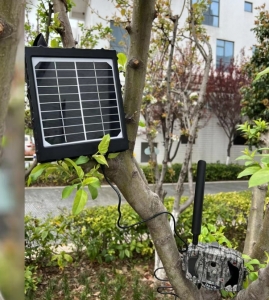 森林相机太阳能板